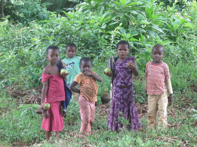Photo by Tony, taken in rural Rungwe District in the Tanzania Southern Highlands
